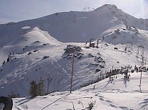 Top of Harmony Chair