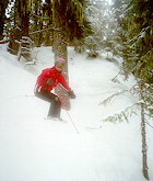 Deep in the Blackcomb trees