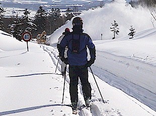 Snow plough