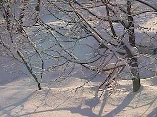 Wonderful alpine scenes