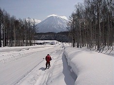 Public roads back to the resort