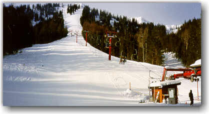 Crowded Slopes - Panorama