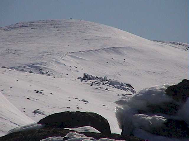 Kozi cornice has begun to build