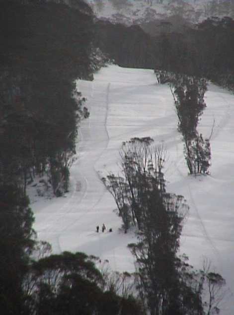 Cat track on High Noon - Note keen boarders