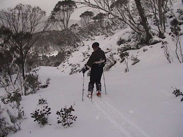 First tracks Bunny Walk