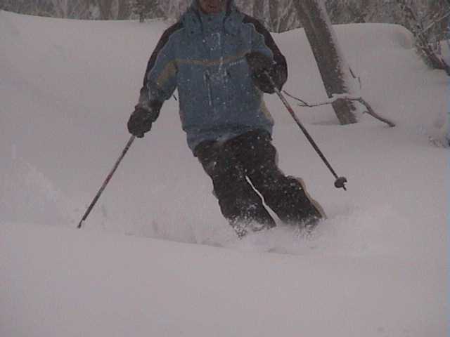 Loosing one's head in the fresh untracked under Snowgums