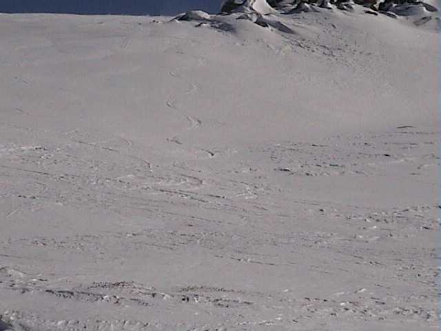 Away from the maddening crowd - freshies out near Signature Hill