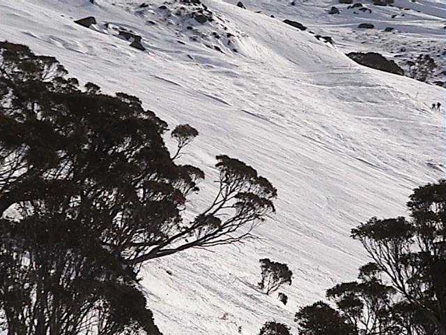 Merritt's Falls was probably the best of the grooming (early up)