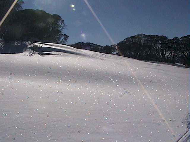 Golf Course early had a lot of fresh