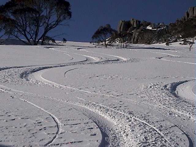 Dropping down into Bogong Creek enroute to Dead Horse Gap with Ray and David