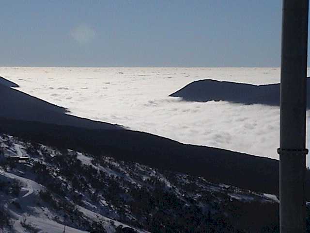 A sea of fluffy white