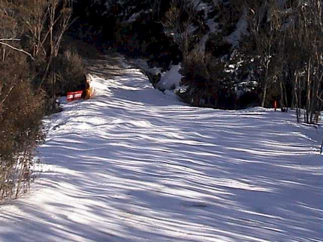 Dream Run is snowless beyond the bridge