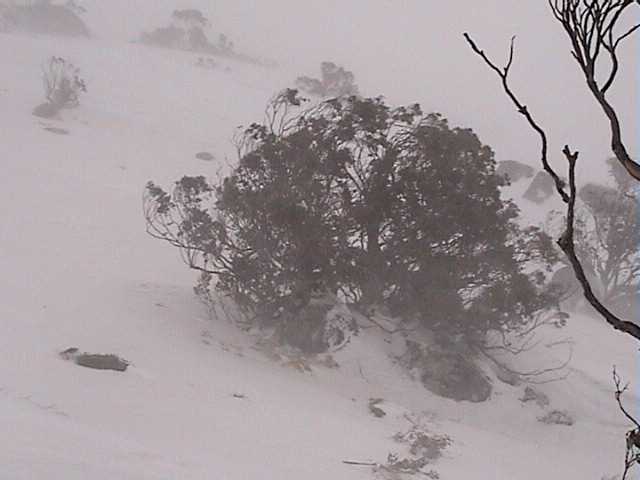 Below Cannonball with the wind howling up to 90kph