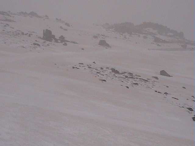 Merritts Traverse on Saturday - damp, windy, sticky & brown