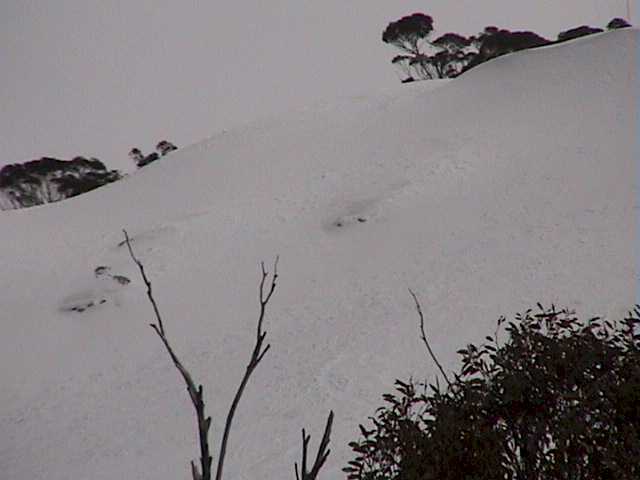 The Bluff looked liked it was covered in deep dry powder