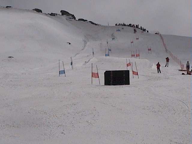 Dual Slalom - Ski Patroller Race Course in the Basin yesterday