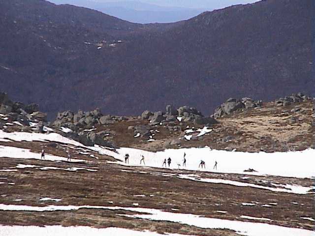 The grass and rock patches are growing even on the main range