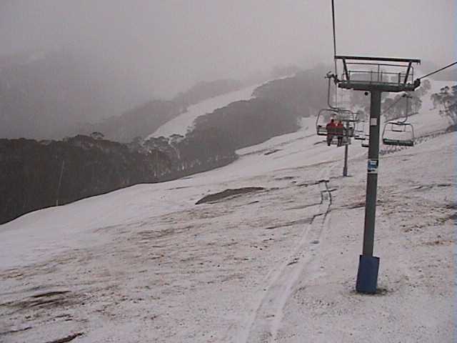 Dusting on grass and mud under Kosi chair