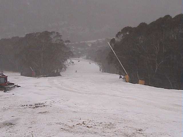 Lower Supertrail still holding up but for how long?