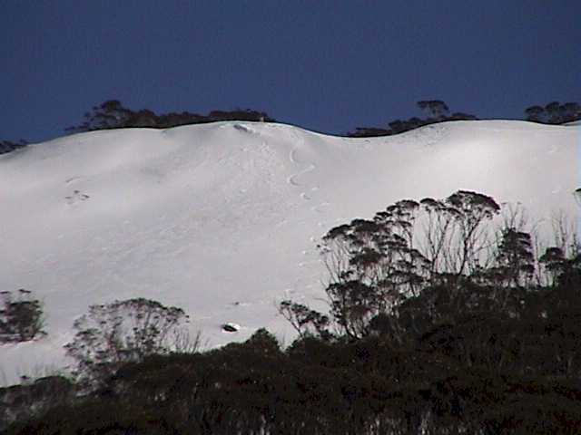 First tracks off the Bluff - ski patrol privilege