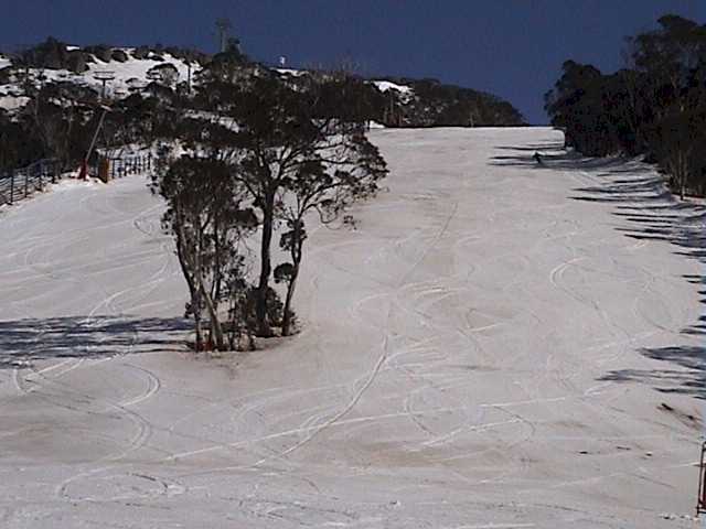 Supertrail above Bunny Walk provided fresh groomed till about 11am