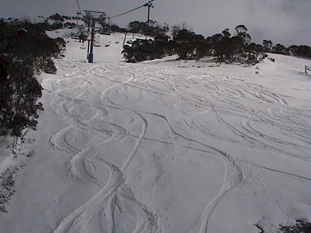 Where grass and rocks were yesterday morning, fresh tracks appeared today