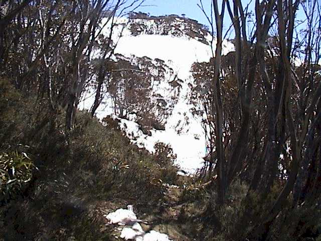 The 'walk out' from Boundary Rider - now home to the wombats