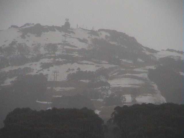 Looking up the Supertrail in todays rain