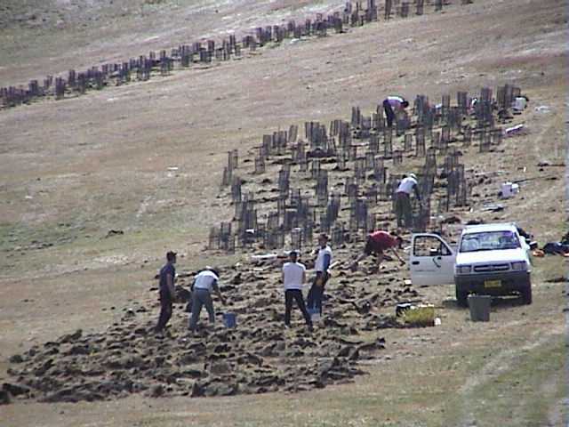 Work crew getting their hands dirty