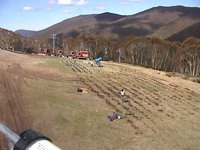 And more at Lovers Leap station