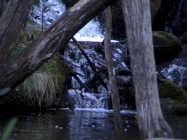 Water pool on one of the many streams around Thredbo