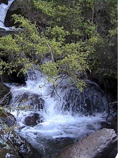 The water flow has diminshed somewhat over the last few weeks