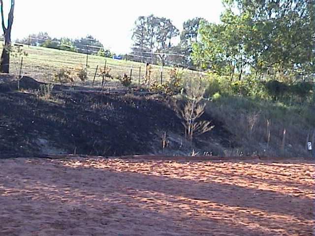 Where the fire jumped the arena and was stopped at the veggie garden