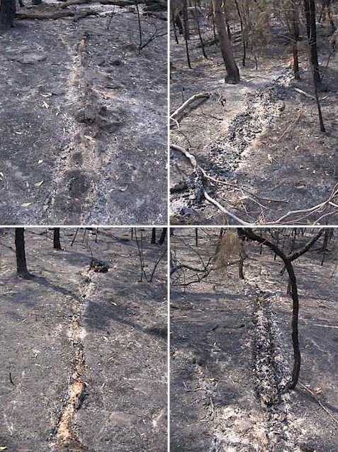 Ashen shadows where once trees lay - vaporised by the intense heat