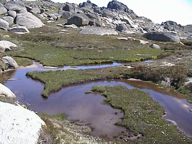 High alpine stream