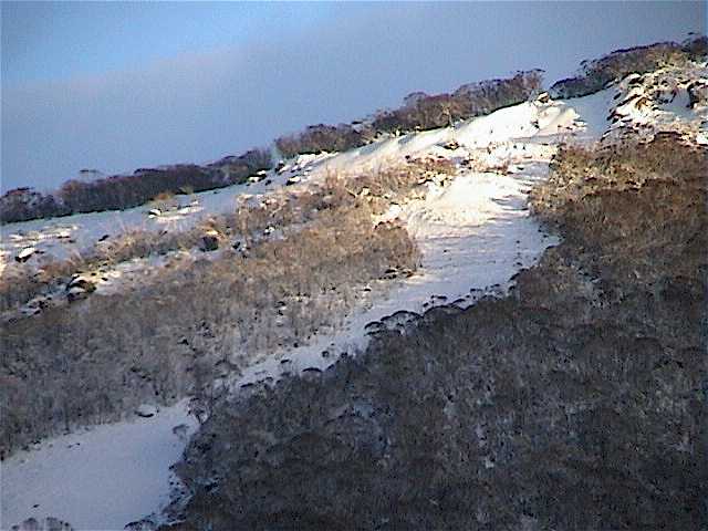 Funnel Web needs more snow