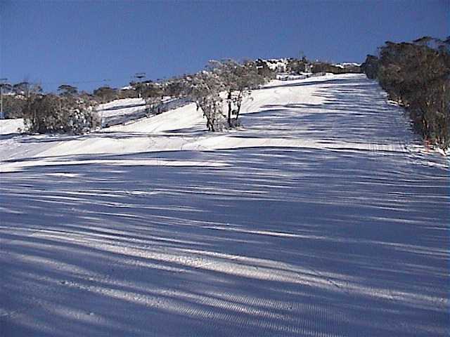 Supertrail today - above Bunny Walk