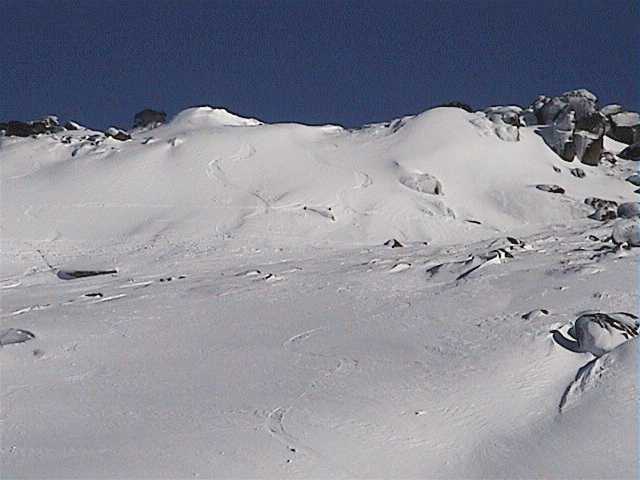 Peter and I got first tracks on the high entrance to The Basin