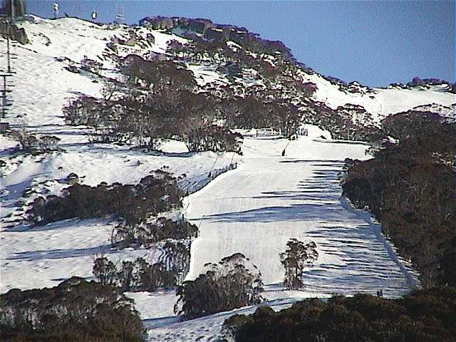 Upper Supertrail at 8:30am