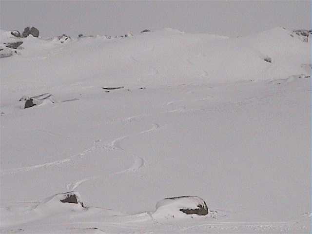 Lots of freshies from Karels into the Basin