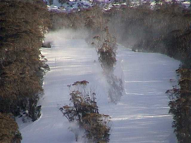 High Noon guns blazing at 8:00am Tuesday 10C