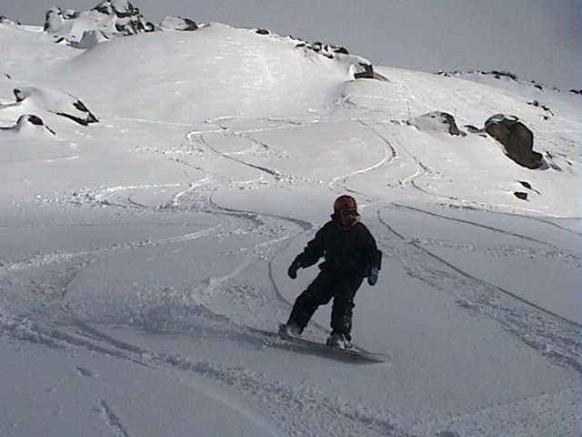 Basin freshies