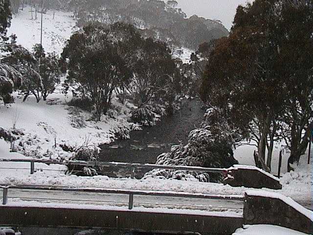 Thredbo River raging after the torrential overnight rains