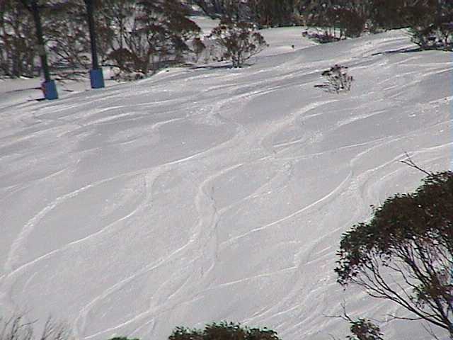 First tracks down Cannonball