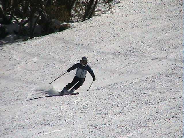 Windblown topping on lower True Blue