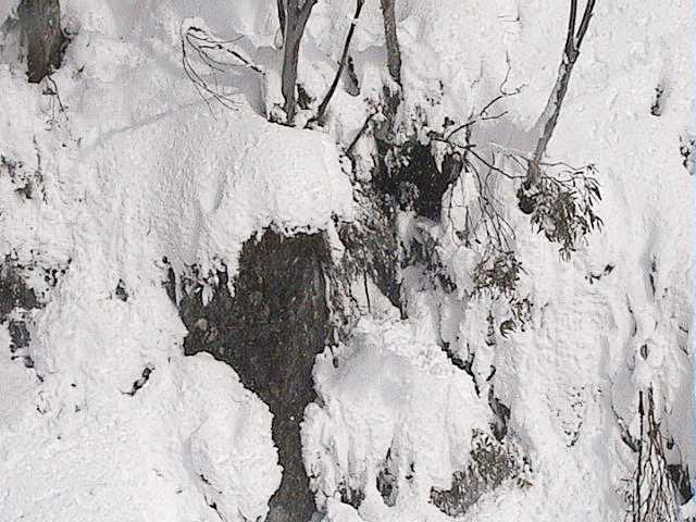 Under Snow Gums chair