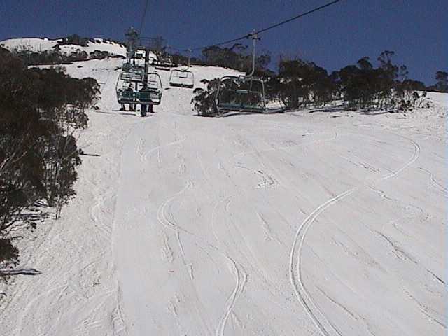 Love those big turns on soft groom