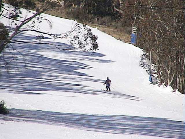 Tommy on the Milk Run