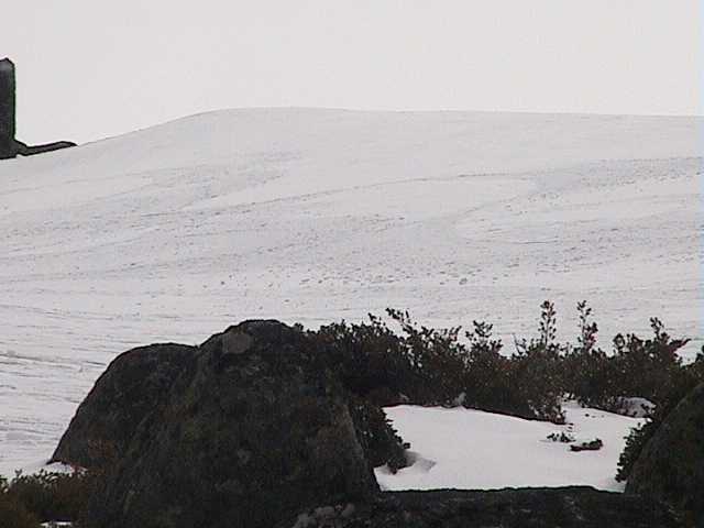 Dusting on the natural half pipe - Sponars