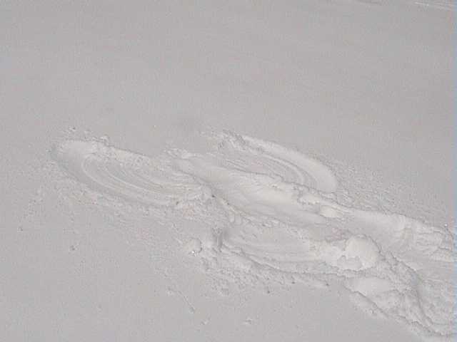 Jennys snow angel